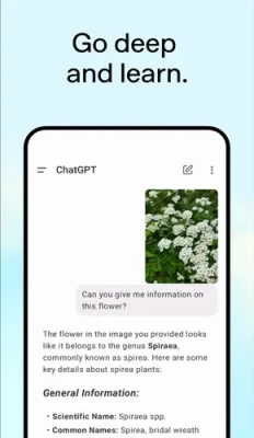 chatgpt mod apk 4 232x400