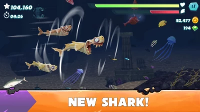 new shark