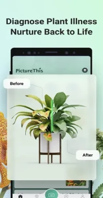 picturethis plant identifier mod apk 4 208x400