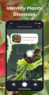 plantln plant identification mod apk 3 208x400