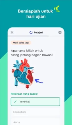 quizlet mod apk 3 232x400