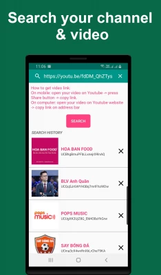 search your channel & video 234x400