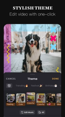 stylish theme 225x400