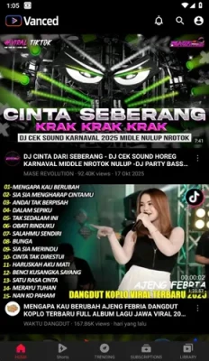 vanced tube mod apk 4 232x400